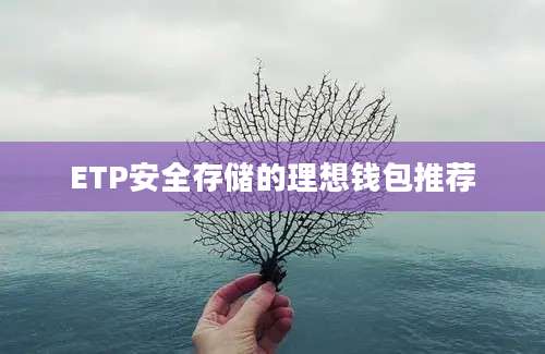 ETP安全存储的理想钱包推荐