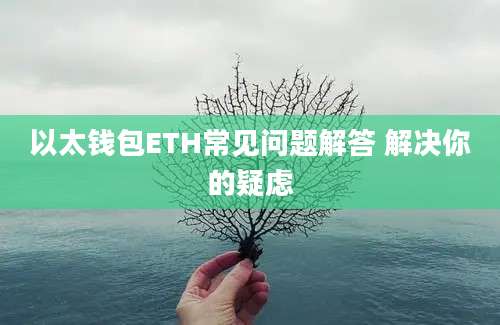 以太钱包ETH常见问题解答 解决你的疑虑