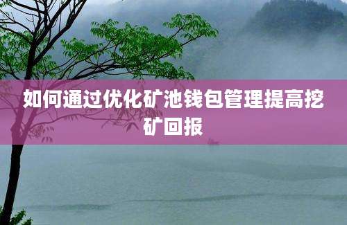 如何通过优化矿池钱包管理提高挖矿回报