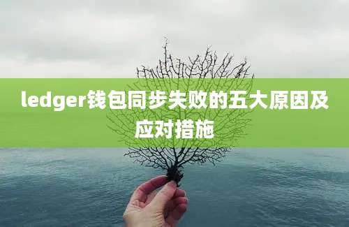 ledger钱包同步失败的五大原因及应对措施