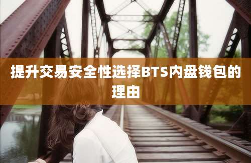 提升交易安全性选择BTS内盘钱包的理由