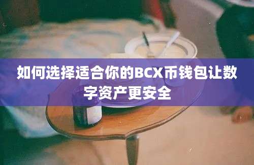 如何选择适合你的BCX币钱包让数字资产更安全