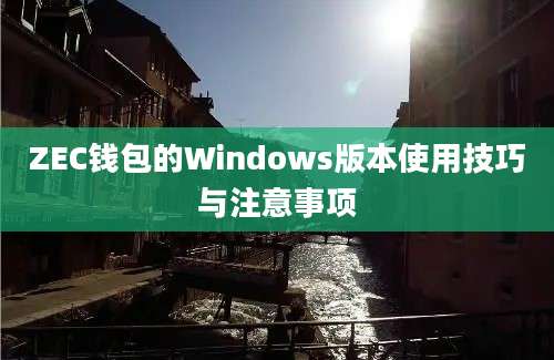 ZEC钱包的Windows版本使用技巧与注意事项