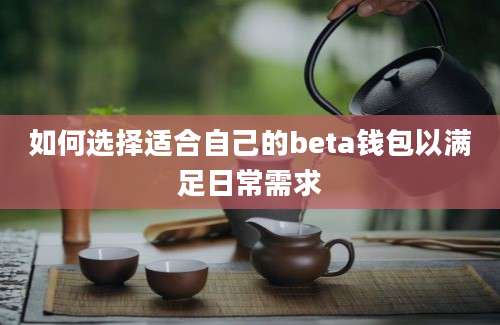 如何选择适合自己的beta钱包以满足日常需求