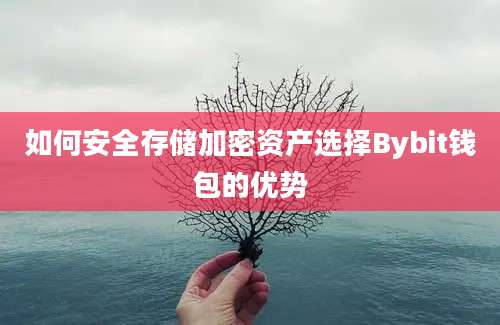 如何安全存储加密资产选择Bybit钱包的优势