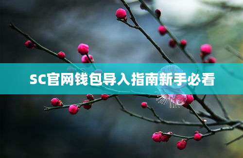 SC官网钱包导入指南新手必看