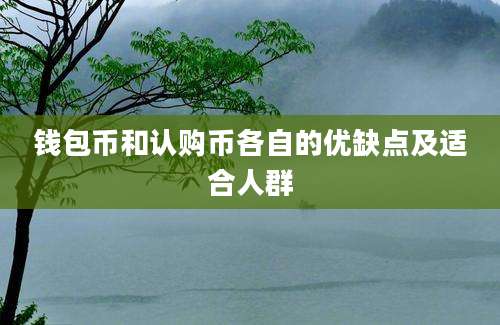 钱包币和认购币各自的优缺点及适合人群