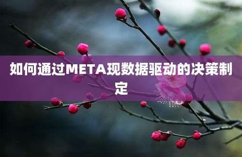 如何通过META现数据驱动的决策制定