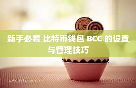 新手必看 比特币钱包 BCC 的设置与管理技巧