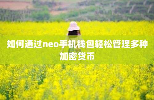 如何通过neo手机钱包轻松管理多种加密货币