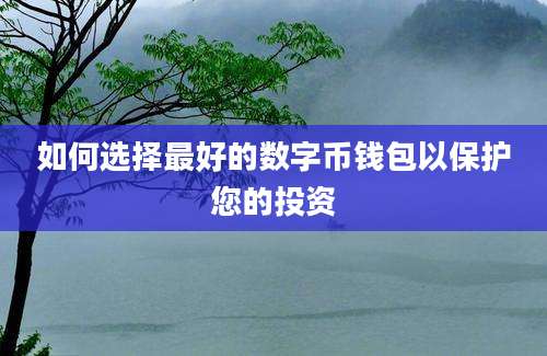 如何选择最好的数字币钱包以保护您的投资