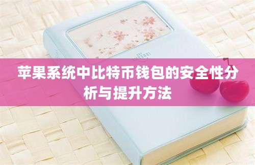 苹果系统中比特币钱包的安全性分析与提升方法