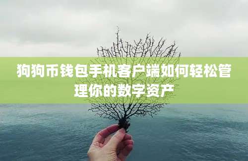 狗狗币钱包手机客户端如何轻松管理你的数字资产