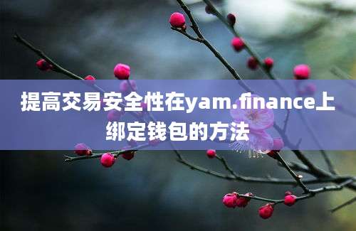 提高交易安全性在yam.finance上绑定钱包的方法