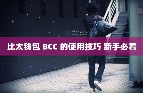 比太钱包 BCC 的使用技巧 新手必看