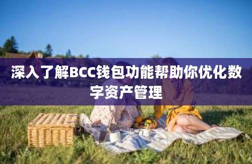 深入了解BCC钱包功能帮助你优化数字资产管理