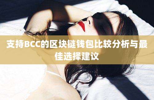 支持BCC的区块链钱包比较分析与最佳选择建议