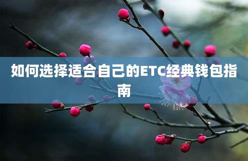 如何选择适合自己的ETC经典钱包指南