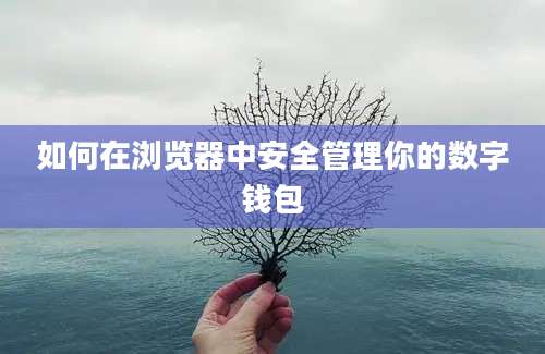 如何在浏览器中安全管理你的数字钱包