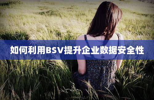 如何利用BSV提升企业数据安全性