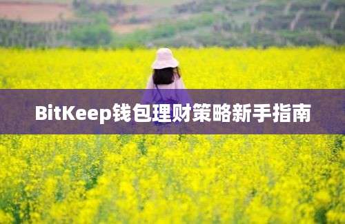 BitKeep钱包理财策略新手指南