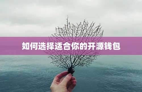 如何选择适合你的开源钱包