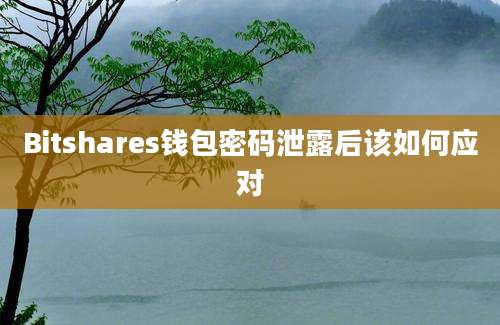 Bitshares钱包密码泄露后该如何应对