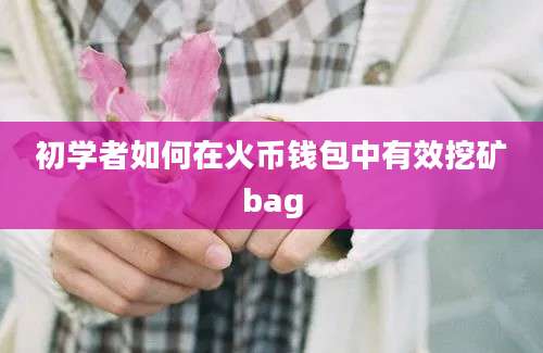 初学者如何在火币钱包中有效挖矿bag