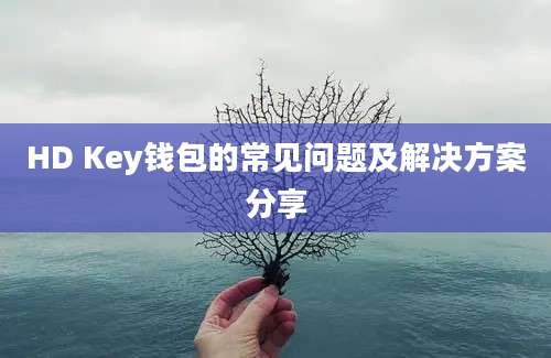 HD Key钱包的常见问题及解决方案分享