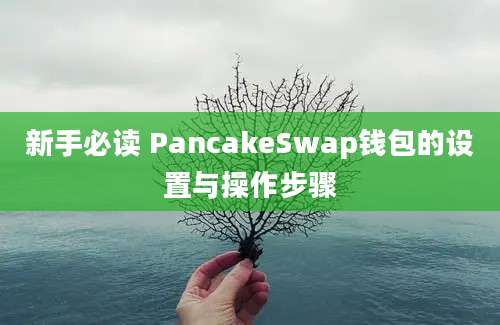 新手必读 PancakeSwap钱包的设置与操作步骤