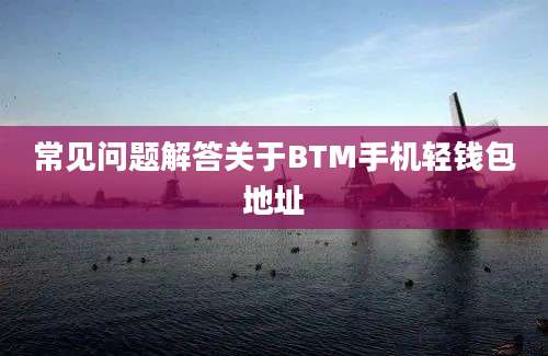 常见问题解答关于BTM手机轻钱包地址