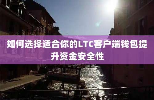 如何选择适合你的LTC客户端钱包提升资金安全性