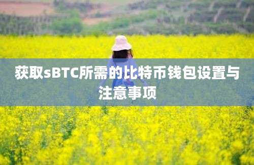 获取sBTC所需的比特币钱包设置与注意事项